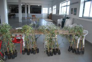 [Galeria] Projeto de Condomínio de Aldeia em Corgas e Malhadal avança