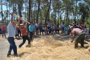 Centenas de pessoas revivem a ceifa e as malhas