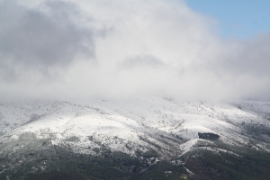 [Galeria] Norte da Freguesia Coberto de Neve