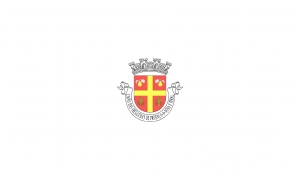 Abertura de Procedimento Concursal Para Ocupação de um Posto de Trabalho