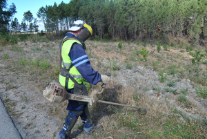 [Galeria] Limpeza e corte de vegetação nas ruas das aldeias