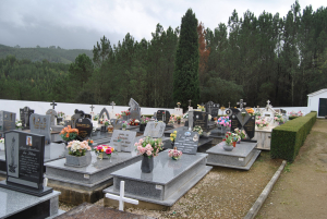 Três Projetos Prioritários para 2025