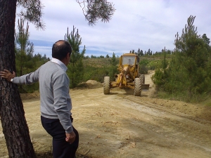 Limpeza de Caminhos Florestais
