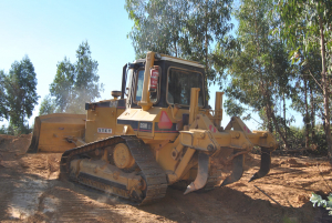 [Galeria] Limpeza de caminhos florestais