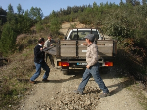 [Galeria] Arranjo de caminho em Foz-do-Pereiro