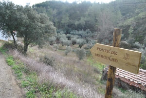 Muros de suporte de terras