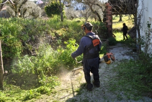 [Galeria] Corte de Infestantes Continua