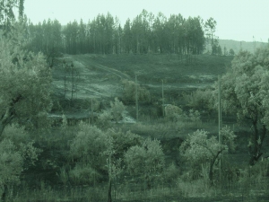 Incêndios chegam a Proença