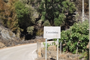 [Galeria] União de Freguesias Solidária com os Afetados pelo Incêndio